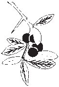 Flowers 24.eps