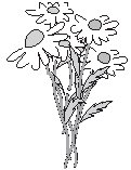 Flowers 27.eps