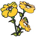 Flowers 31.eps