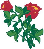 Flowers 32.eps