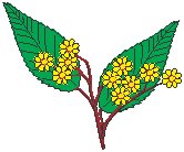 Flowers 40.eps