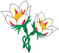 Flowers 41.eps