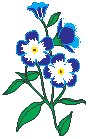 Forget Me Not.eps