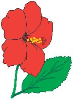 Hibiscus.eps