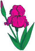 Iris.eps