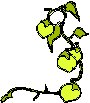 Lemon Stem 1.eps
