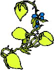 Lemon Stem 2.eps