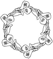 Lily Frame.eps