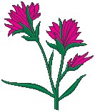 Paintbrush.eps