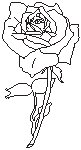 Rose - Outline.eps