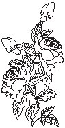 Rose 03.eps