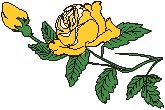 Rose 04.eps
