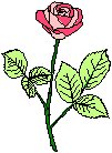 Rose 05.eps