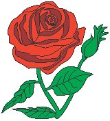 Rose 10.eps