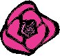 Rose Bloom.eps