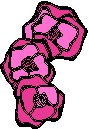 Rose Bunch.eps
