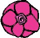 Rose Open.eps