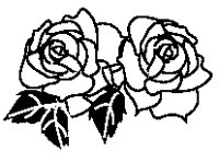 Roses 1.eps