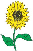 Sunflower.eps