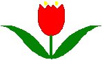 Tulip.eps