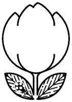Tulip Frame.eps