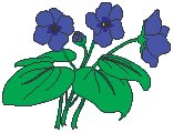 Violet.eps