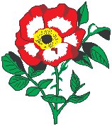 Wild Rose.eps