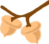 Acorns 1.eps