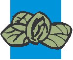 Acorns 2.eps