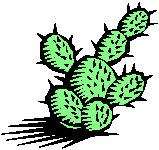 Cactus 3.eps