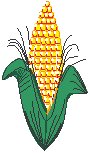 Corn.eps