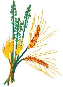 Grains.eps