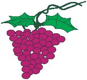 Grapes.eps