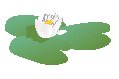 Lily Pad.eps