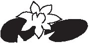 Lily Pads.eps