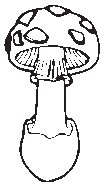 Mushroom 08.eps