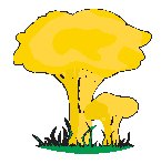Mushrooms.eps