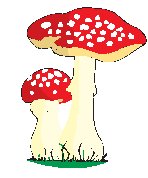 Mushrooms Spotted.eps