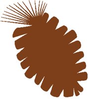 Pine Cone.eps