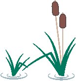Reeds.eps