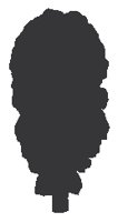 Silhouette 6.eps