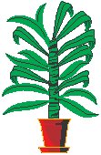 Cane Plant.eps