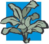 Plant 01.eps