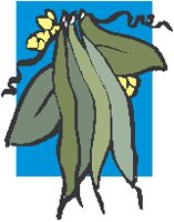 Plant 04.eps