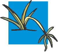 Plant 05.eps