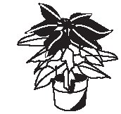 Plant 25.eps