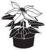 Plant 26.eps