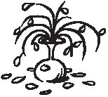 Plant 29.eps