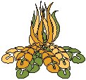 Plant 30.eps