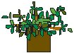 Plant 33.eps